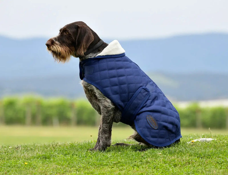 WeatherBeeta ComFiTec Deluxe Diamond Quilt Dog Coat by WeatherBeeta
