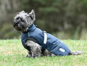 WeatherBeeta Explorer Medium Dog Coat by WeatherBeeta