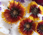 Silica Gel Flower Drying Crystals Indicator by Resin Art NZ