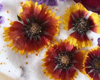 Silica Gel Flower Drying Crystals Indicator by Resin Art NZ