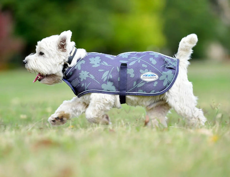 WeatherBeeta ComFiTec Premier Free Parka Dog Coat Medium by WeatherBeeta