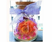 Silica Gel Flower Drying Crystals Indicator by Resin Art NZ