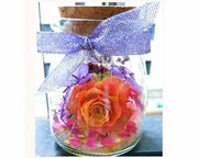 Silica Gel Flower Drying Crystals Indicator by Resin Art NZ