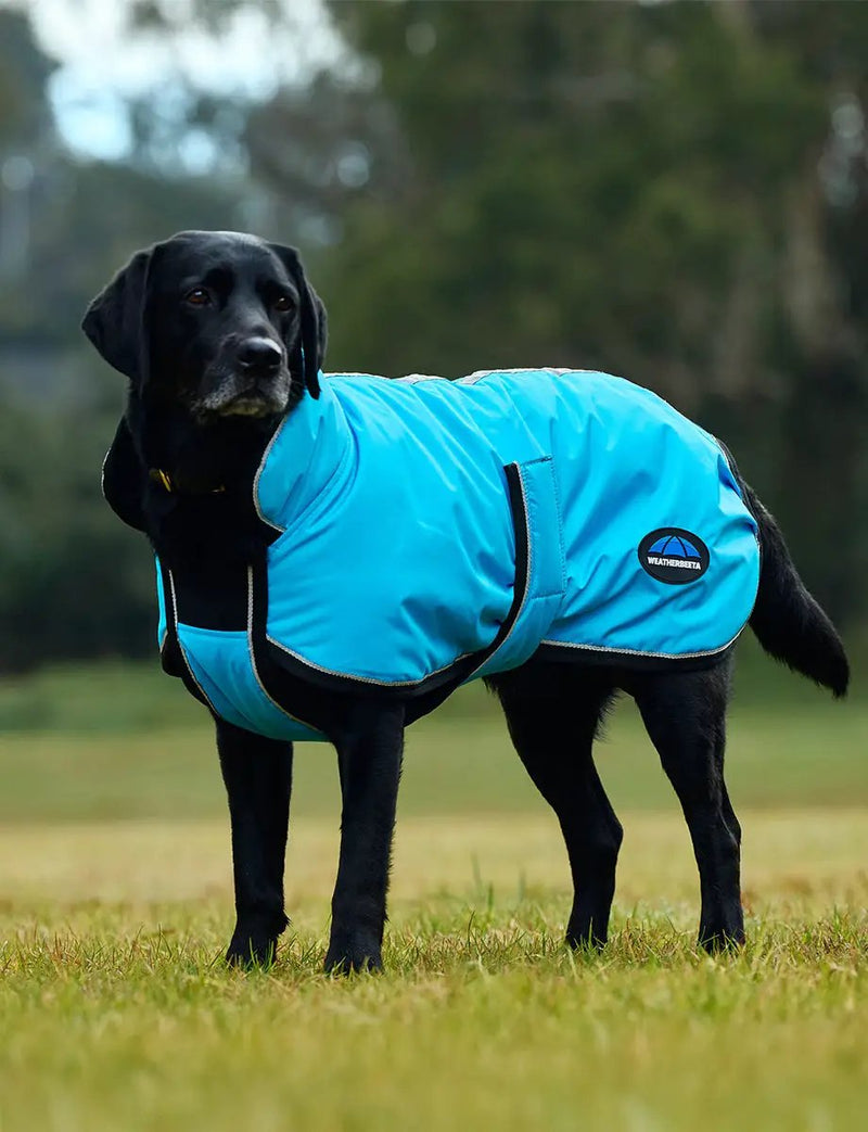 WeatherBeeta ComFiTec Reflective 300D Deluxe Showerproof Dog Coat by WeatherBeeta