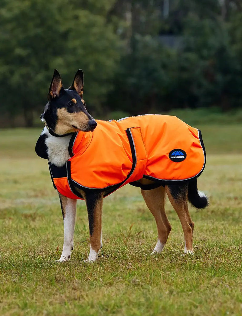 WeatherBeeta ComFiTec Reflective 300D Deluxe Showerproof Dog Coat by WeatherBeeta