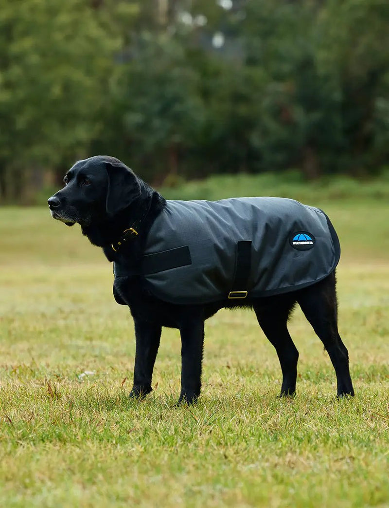 WeatherBeeta ComFiTec Classic Waterproof Dog Coat by WeatherBeeta