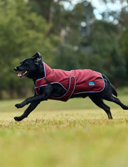 WeatherBeeta ComFiTec Premier Deluxe Waterproof Dog Coat by WeatherBeeta