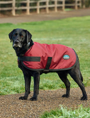 WeatherBeeta ComFiTec Classic Waterproof Dog Coat by WeatherBeeta