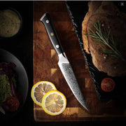 Damascus Steel Household Steak Knife 4piece set by China Dropship