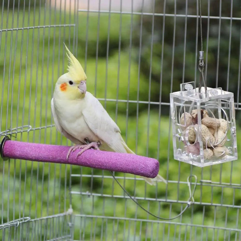 Bird Parrot Feeder by salelink.co.nz