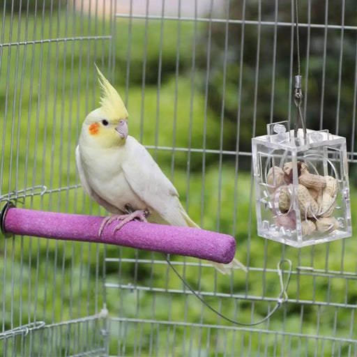 Bird Parrot Feeder by salelink.co.nz