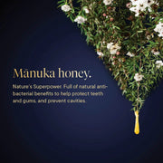 Manuka Honey & Propolis Toothpaste NZ by Manuka Health