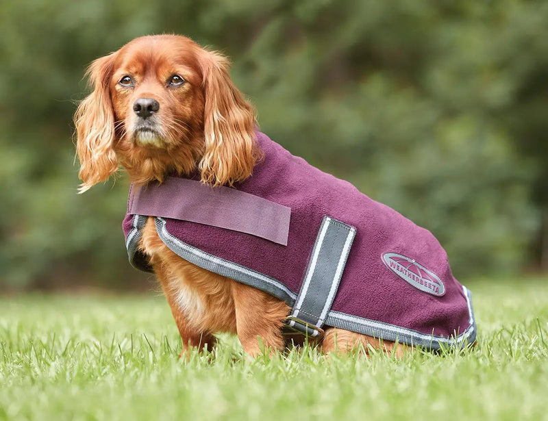 WeatherBeeta ComFiTec Fleece Dog Coat by WeatherBeeta