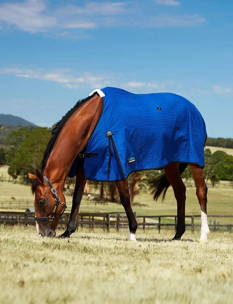 WeatherBeeta Unlined Canvas by WeatherBeeta