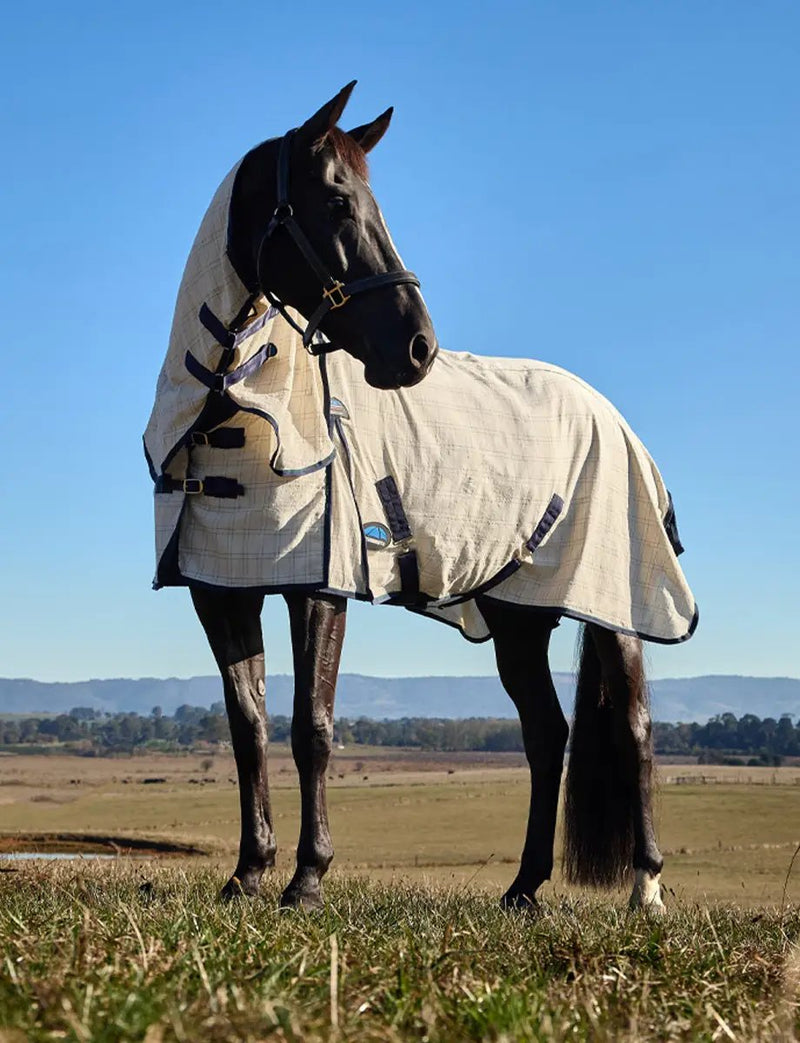 WeatherBeeta Cotton Summer Sheet Lite Combo by WeatherBeeta