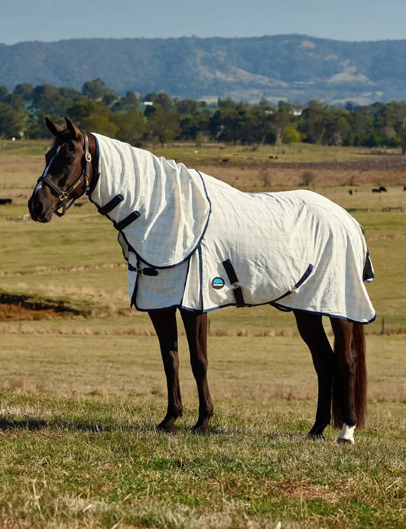 WeatherBeeta Cotton Summer Sheet Lite Combo by WeatherBeeta
