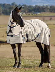 WeatherBeeta Cotton Summer Sheet Combo by WeatherBeeta