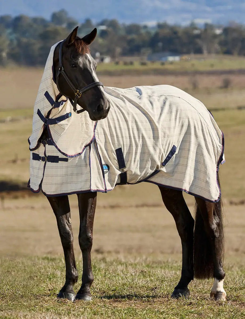 WeatherBeeta Cotton Summer Sheet Combo by WeatherBeeta