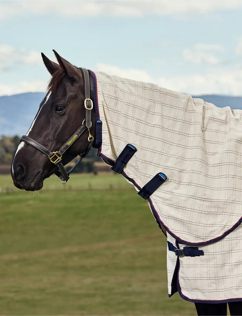 WeatherBeeta Cotton Summer Sheet Combo by WeatherBeeta