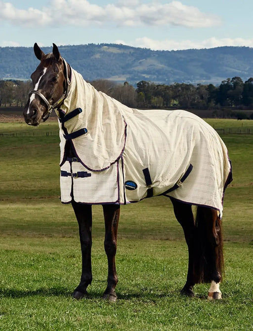 WeatherBeeta Combos WeatherBeeta Cotton Summer Sheet Combo WeatherBeeta Cotton Summer Sheet Combo