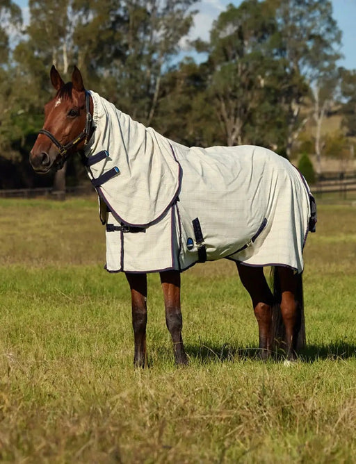 WeatherBeeta Combos WeatherBeeta Cotton Summer Sheet Scrunch Combo WeatherBeeta Cotton Summer Sheet Scrunch Combo