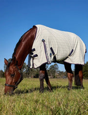 WeatherBeeta Cotton Summer Sheet by WeatherBeeta
