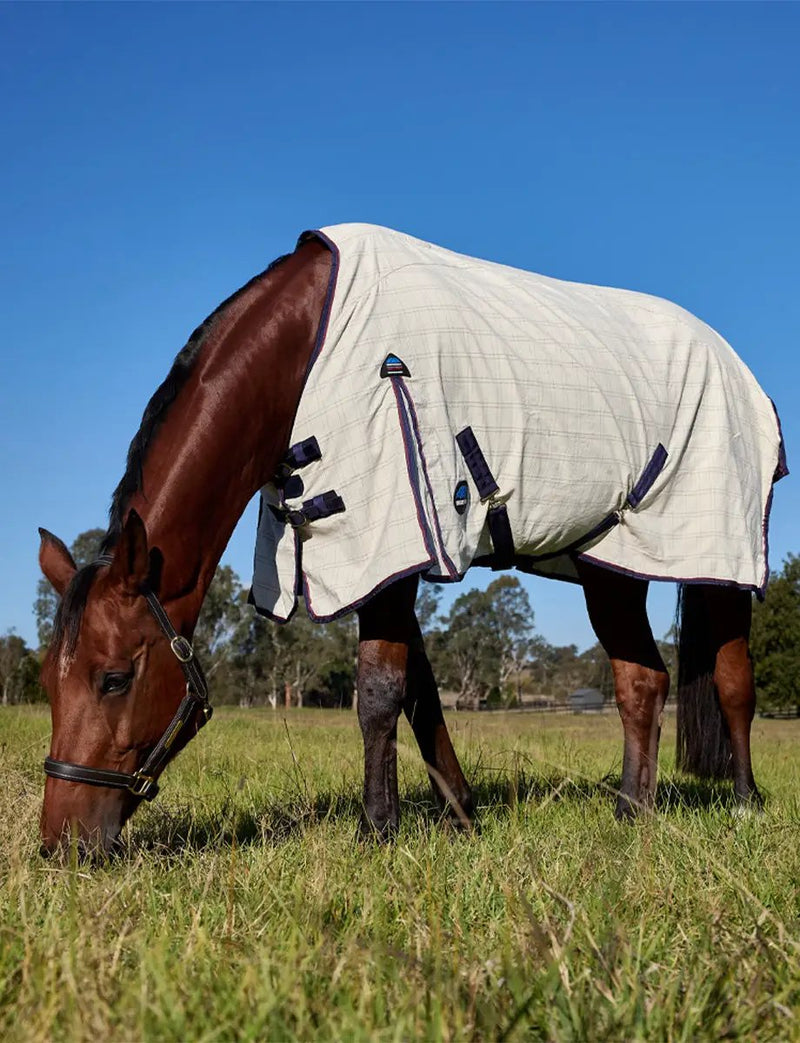 WeatherBeeta Cotton Summer Sheet by WeatherBeeta