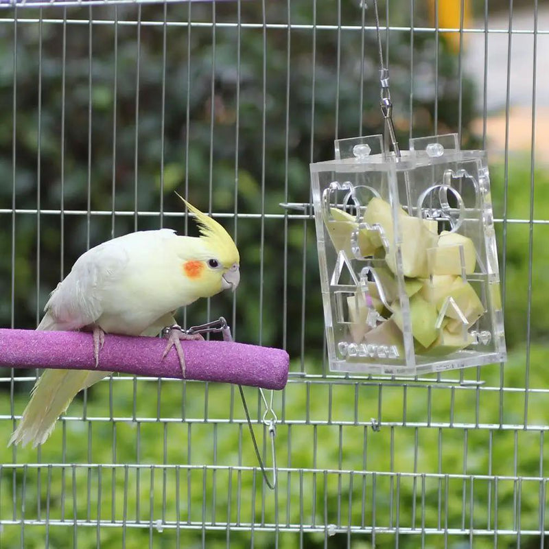 Birds Toys Food Parrot Foraging Feeder Cage by salelink.co.nz
