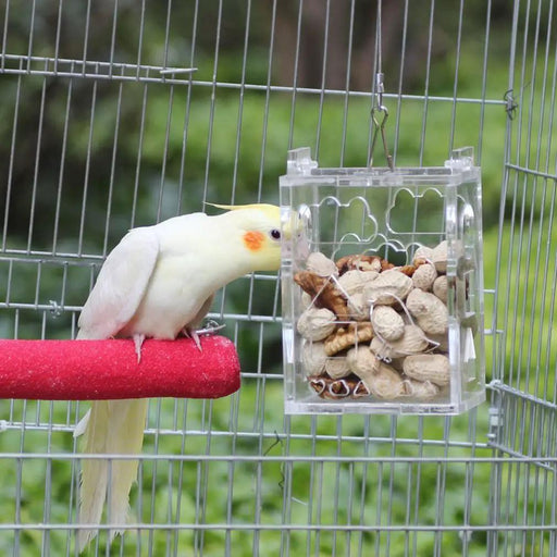 Birds Toys Food Parrot Foraging Feeder Cage by salelink.co.nz