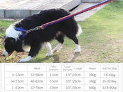 LARGE BLUE&RED Strong Dog Leash Climbing Rope Threaded Pet Training by dealonline.co.nz