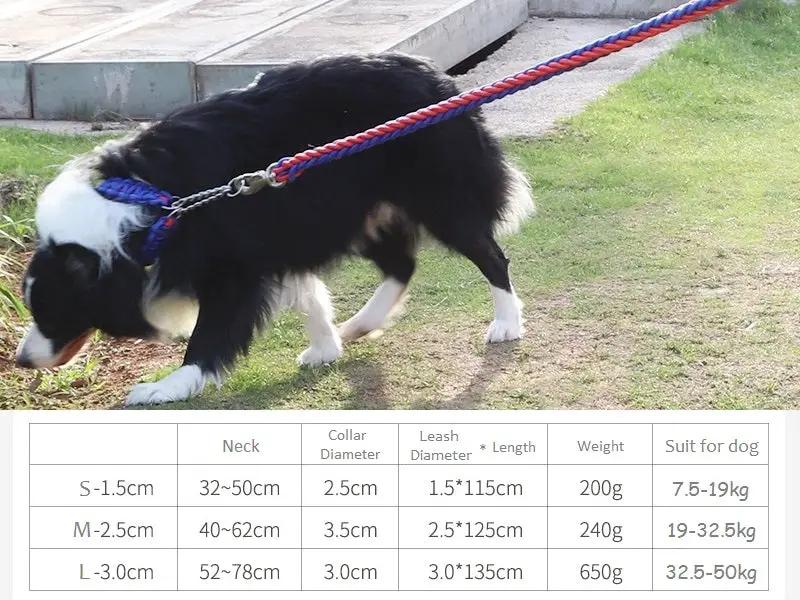 LARGE BLUE&RED Strong Dog Leash Climbing Rope Threaded Pet Training by dealonline.co.nz