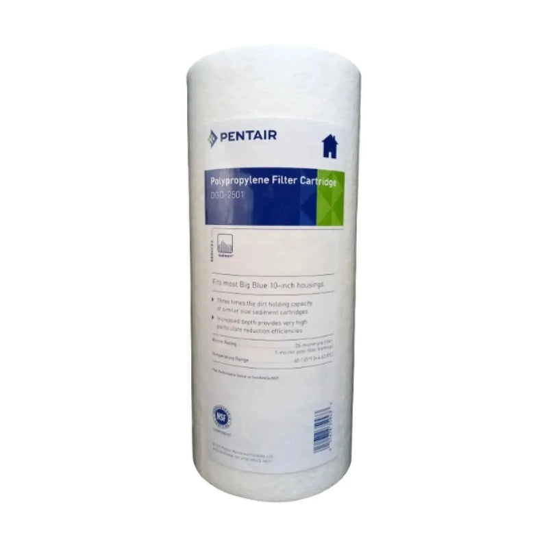 Pentair DGD Series Dual Gradient Jumbo Filter - 25 to 1 Micron, 10" or 20" NZ by Filtration Station NZ