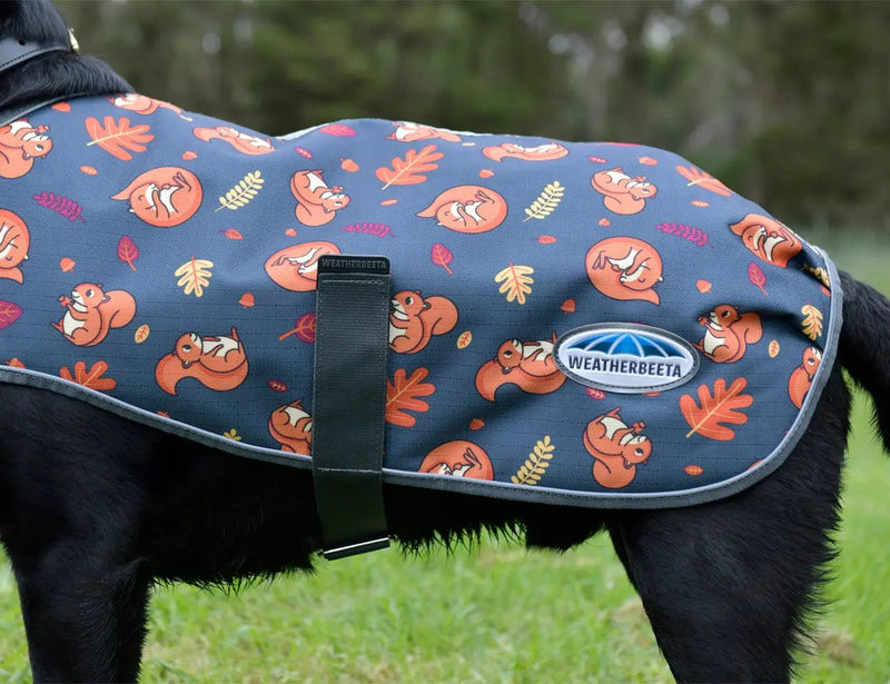 WeatherBeeta ComFiTec Premier Free Parka Dog Coat Medium by WeatherBeeta
