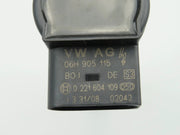 New Coil fit Audi A4 A5 Q3 Q5 R8 2.0 TFSI Ignition Coil Spark Plug Cap 06h905115 by JBH AUTO PARTS