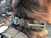 Tactical Dog Collar Adjustable Military Training Nylon Dog Collar Metal Buckle by dealonline.co.nz