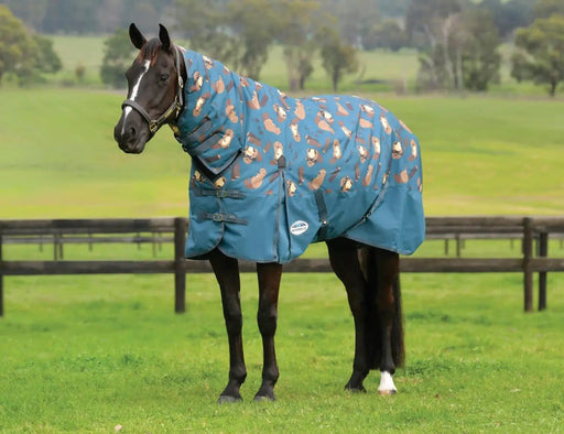 WeatherBeeta Clearance WeatherBeeta ComFiTec Essential Combo Neck Medium WeatherBeeta ComFiTec Essential Combo Neck Medium