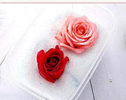 Silica Gel Flower Drying Crystals Indicator by Resin Art NZ