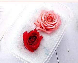 Silica Gel Flower Drying Crystals Indicator by Resin Art NZ