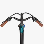 Kiwi eRide Kiwi eRide Fiido C11 Pro City E-Bike 48V 10.4Ah Removable battery Fiido C11 Pro City E-Bike 48V 10.4Ah Removable battery
