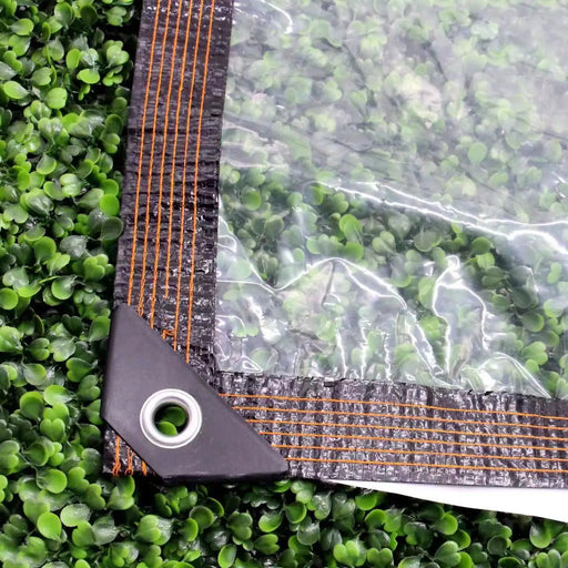 2MX4M Waterproof Clear Tarpaulin by salelink.co.nz