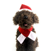 Dog Cat Christmas Costume Pet Decoration Hat & Scarf by salelink.co.nz
