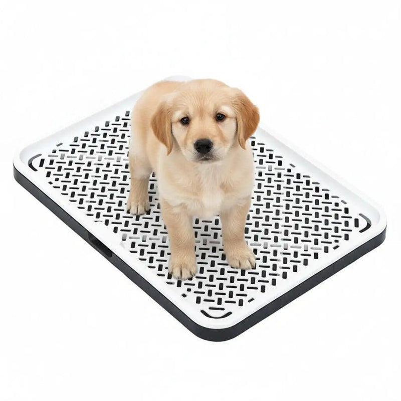 Dog Potty Tray Toilet Training Pads Holder Litter Box Pee Pad Holder by dealonline.co.nz