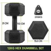 2x6kg Hexagon Dumbbells Set by Yaheetech