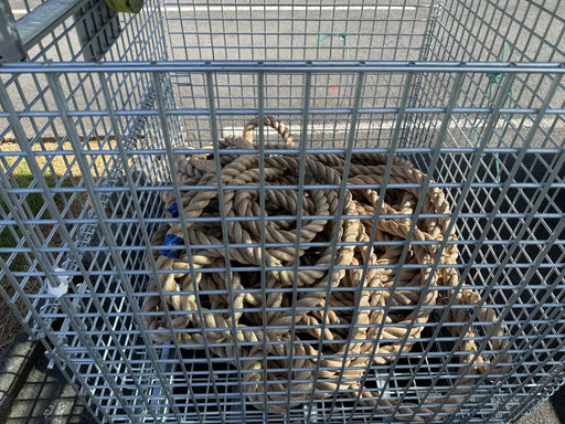 Collapsible Wire Mesh Storage Cage 800kg Capacity Rugged Warehouse Storage Solution Auckland Racking by Auckland Racking