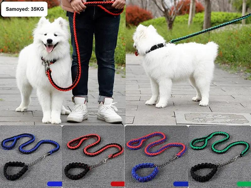 LARGE BLUE&RED Strong Dog Leash Climbing Rope Threaded Pet Training by dealonline.co.nz