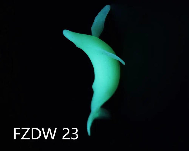 3D Model Resin Mould Decoration Resin Filler Simulated - Whales by Resin Art NZ