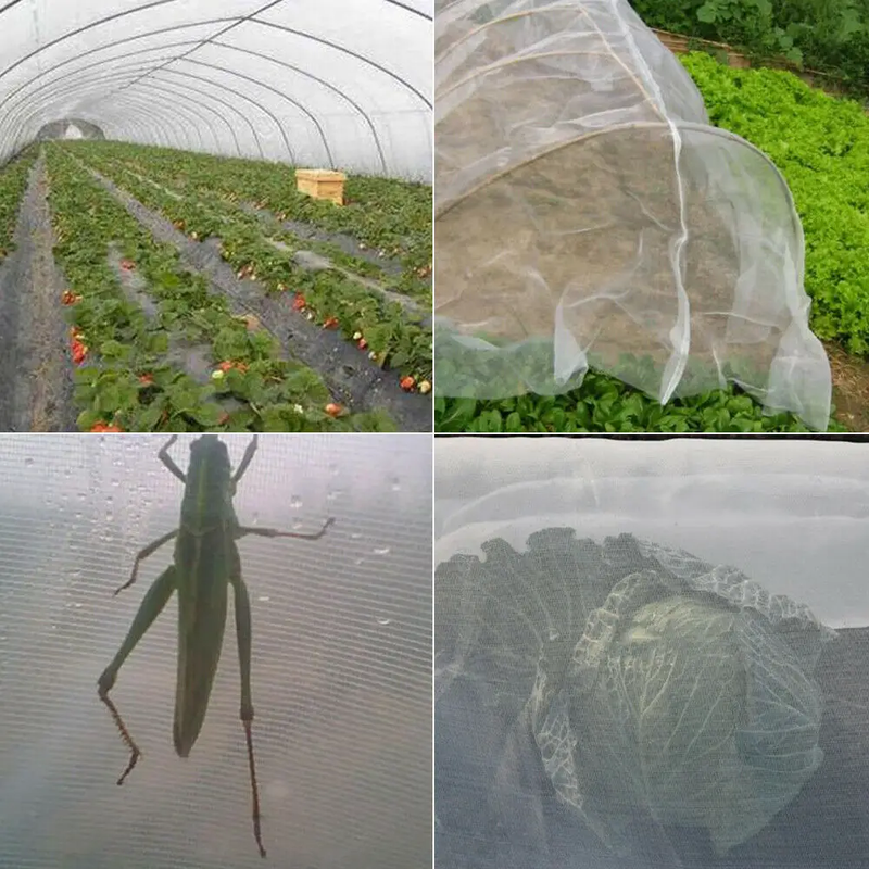 2.5 x 10M Crop Mesh Net by salelink.co.nz