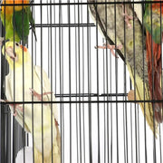 H145cm Open Top Metal Parrot Cage Bird Cage by Yaheetech