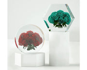 Jumbo Moulds Tap Out Moulds Floral Preservation, Specimens Making, Bookend Moulds by Resin Art NZ
