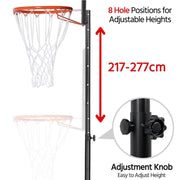 Portable Basketball Hoop by Yaheetech